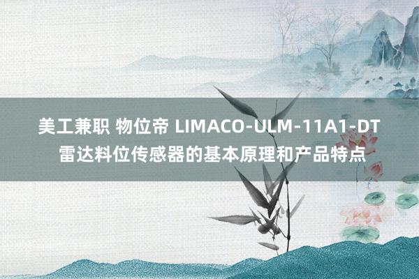 美工兼职 物位帝 LIMACO-ULM-11A1-DT 雷达料位传感器的基本原理和产品特点