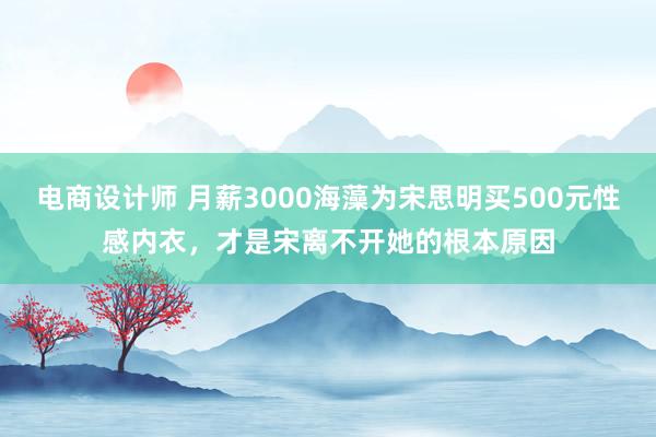 电商设计师 月薪3000海藻为宋思明买500元性感内衣，才是宋离不开她的根本原因