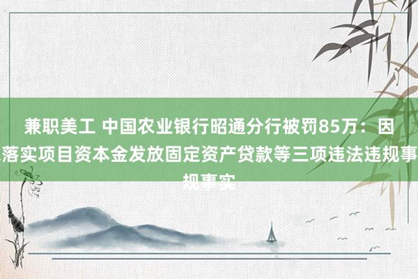 兼职美工 中国农业银行昭通分行被罚85万：因未落实项目资本金发放固定资产贷款等三项违法违规事实